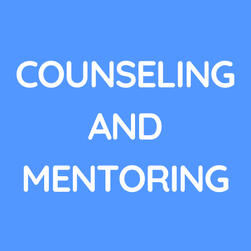 Small Business Counseling and Mentoring